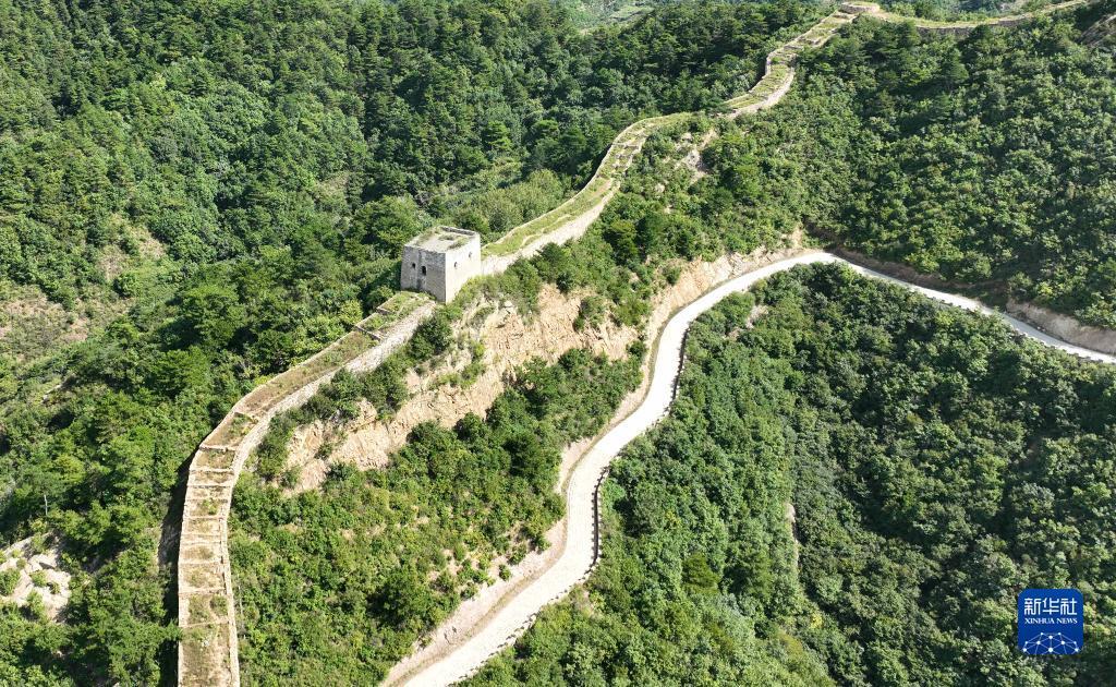 大宝lgpt游戏下载